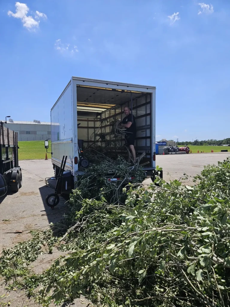 Junk Removal Services Tampa 4 Yard Debris Removal