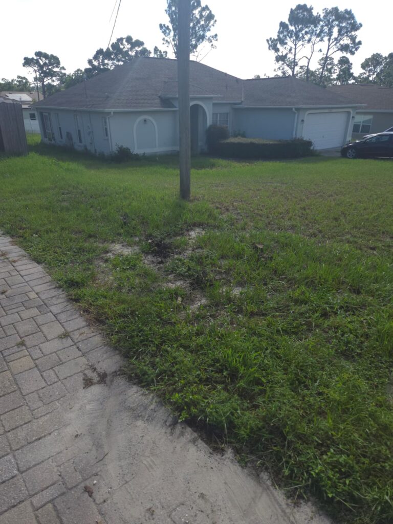 Waste Management Service