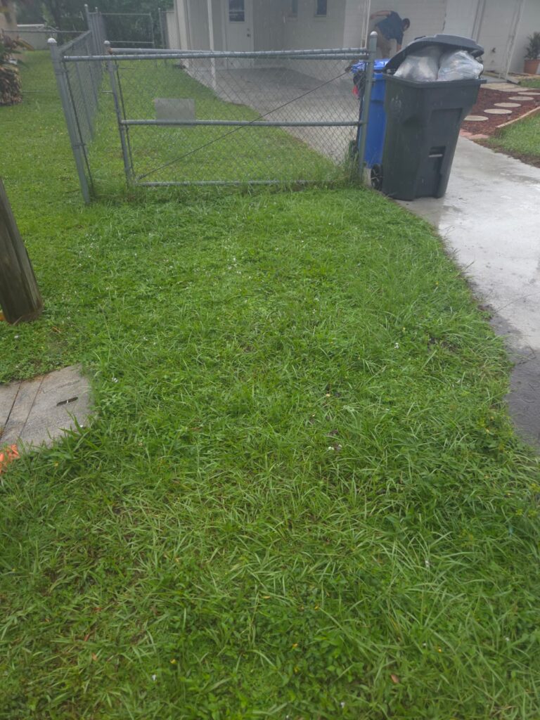 Waste Management Service