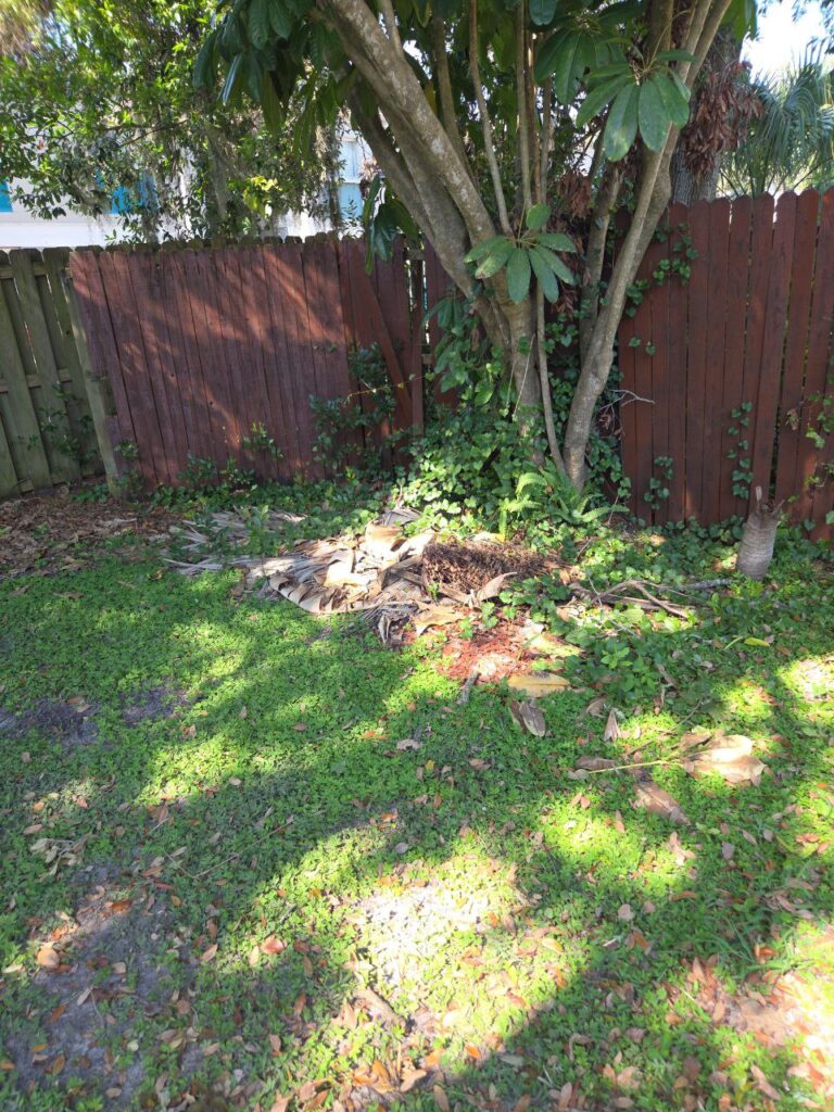 Debris Removal Services